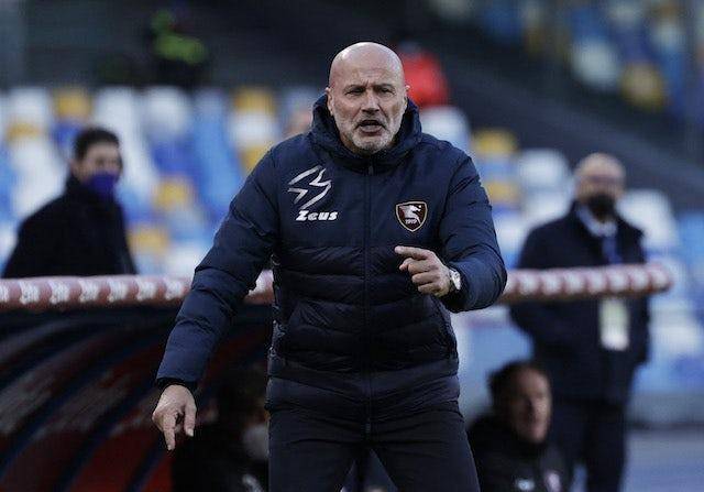 博洛尼亚战术调整,全力实现保级目标的简单介绍 博洛尼亚战术调整,全力实现保级目标的简单介绍