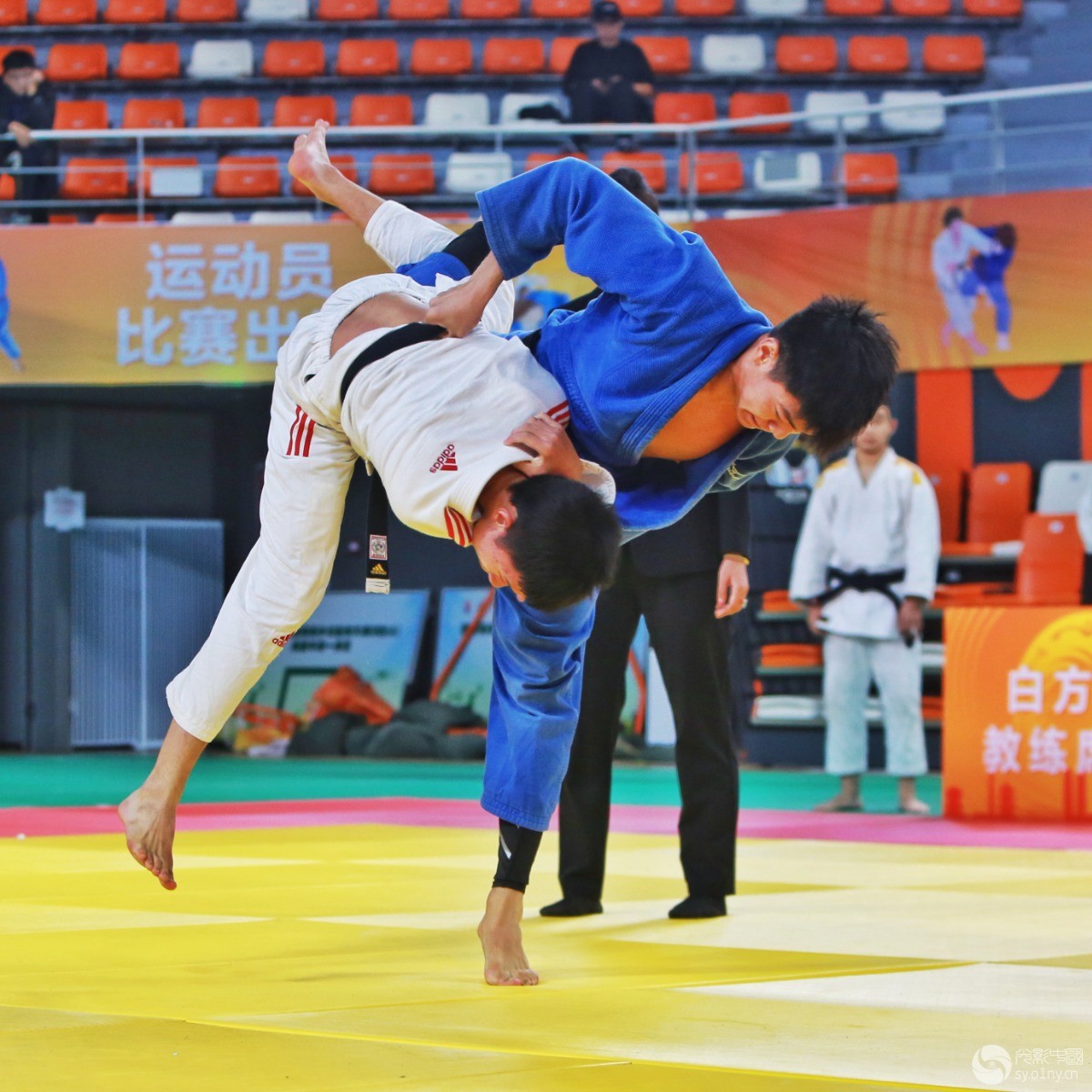 柔道比赛搏斗如火如荼，冠军再次诞生