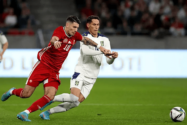 塞尔维亚队胜匈牙利，实力展现