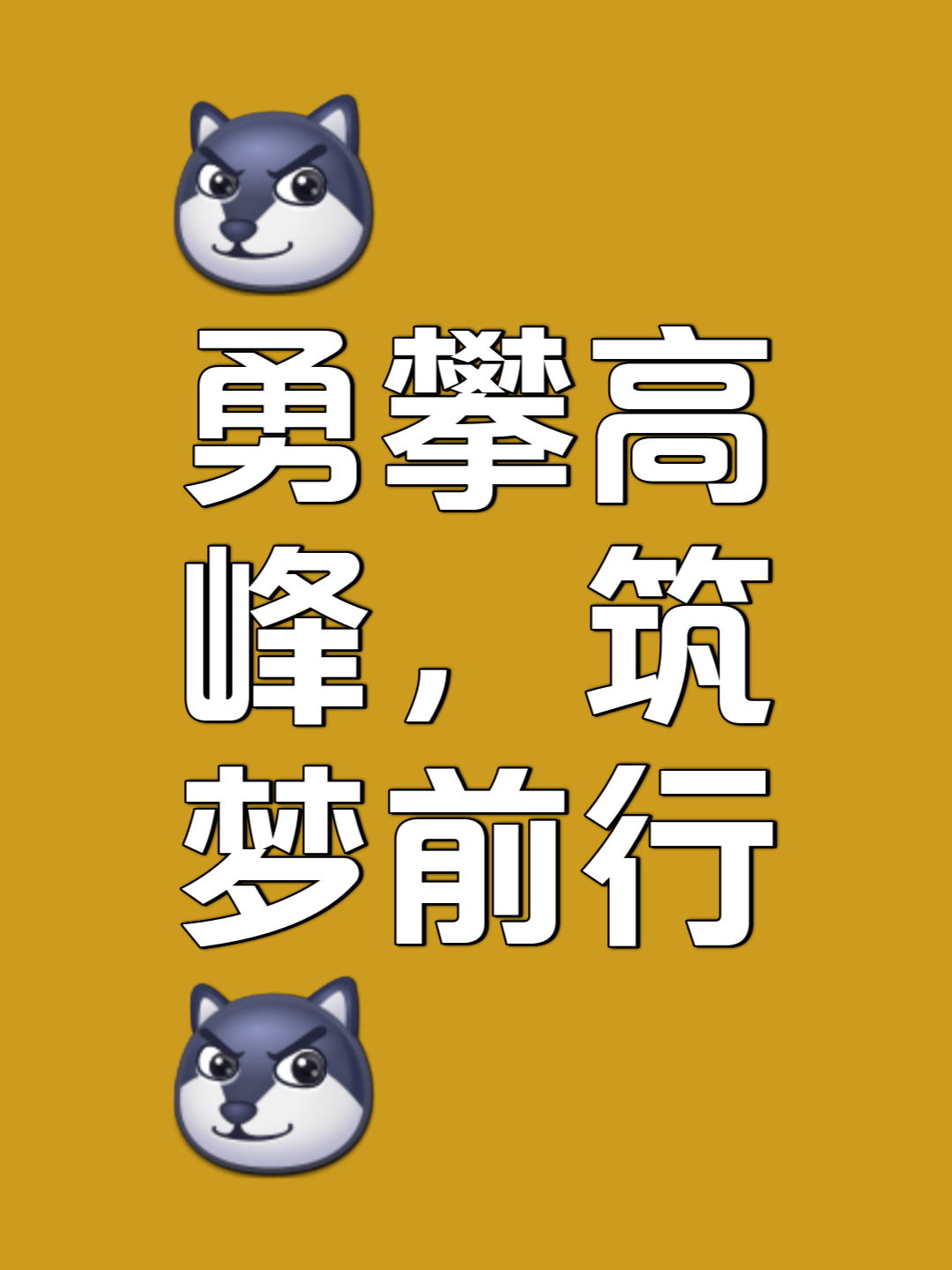 经过激烈角逐，最终傲视群雄